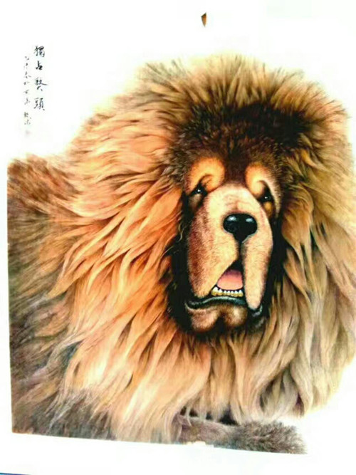 中美协会员国家一级美术师甄清