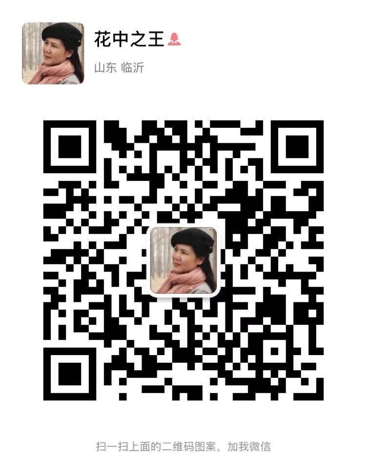 1573435367941148.jpg 464232035805682281.jpg